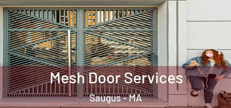 Mesh Door Services Saugus - MA