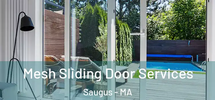Mesh Sliding Door Services Saugus - MA
